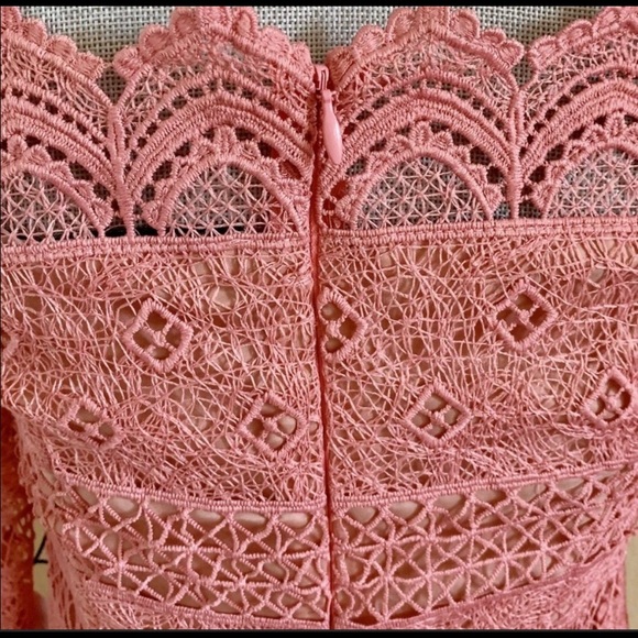AMUR Lace dress GORGEOUS new Pink sz 4 - Picture 5 of 6